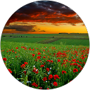 Arvind K. profile picture